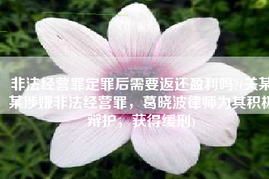 非法经营罪定罪后需要返还盈利吗?(关某某涉嫌非法经营罪，葛晓波律师为其积极辩护，获得缓刑)