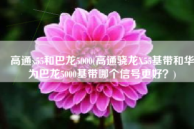 高通x55和巴龙5000(高通骁龙X55基带和华为巴龙5000基带哪个信号更好？)