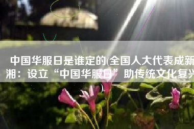 中国华服日是谁定的(全国人大代表成新湘：设立“中国华服日”助传统文化复兴)