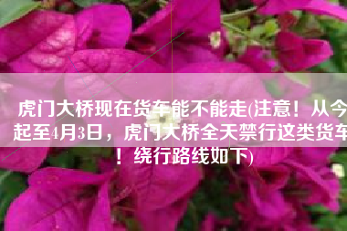虎门大桥现在货车能不能走(注意！从今起至4月3日，虎门大桥全天禁行这类货车！绕行路线如下)