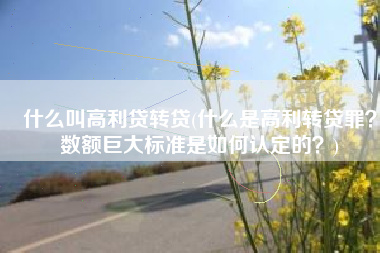 什么叫高利贷转贷(什么是高利转贷罪？数额巨大标准是如何认定的？)