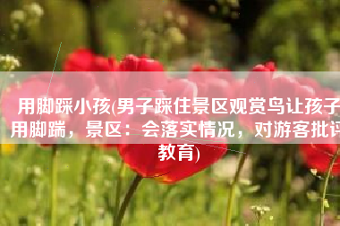 用脚踩小孩(男子踩住景区观赏鸟让孩子用脚踹，景区：会落实情况，对游客批评教育)