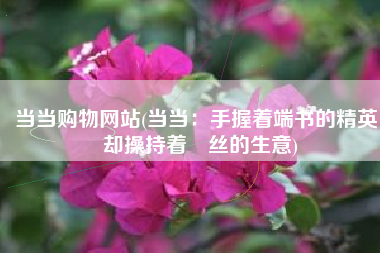 当当购物网站(当当：手握着端书的精英，却操持着屌丝的生意)