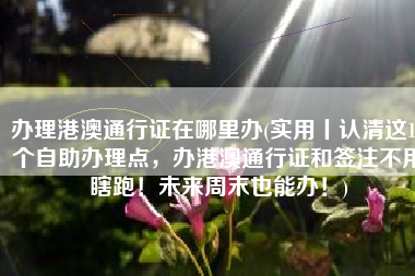 办理港澳通行证在哪里办(实用丨认清这19个自助办理点，办港澳通行证和签注不用瞎跑！未来周末也能办！)