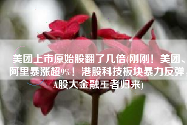 美团上市原始股翻了几倍(刚刚！美团、阿里暴涨超9%！港股科技板块暴力反弹，A股大金融王者归来)