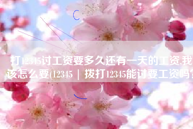 打12345讨工资要多久还有一天的工资,我该怎么要(12345 | 拨打12345能讨要工资吗？)