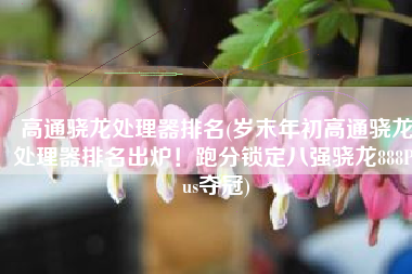 高通骁龙处理器排名(岁末年初高通骁龙处理器排名出炉！跑分锁定八强骁龙888Plus夺冠)