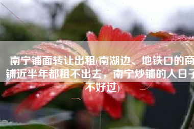 南宁铺面转让出租(南湖边、地铁口的商铺近半年都租不出去，南宁炒铺的人日子不好过)