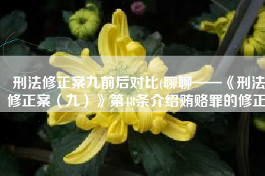 刑法修正案九前后对比(聊聊——《刑法修正案（九）》第48条介绍贿赂罪的修正)