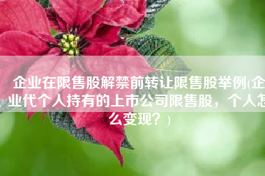 企业在限售股解禁前转让限售股举例(企业代个人持有的上市公司限售股，个人怎么变现？)