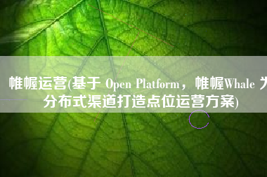 帷幄运营(基于 Open Platform，帷幄Whale 为分布式渠道打造点位运营方案)
