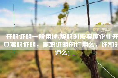 在职证明一般用途(辞职时需要原企业开具离职证明，离职证明的作用么，你都知道么)