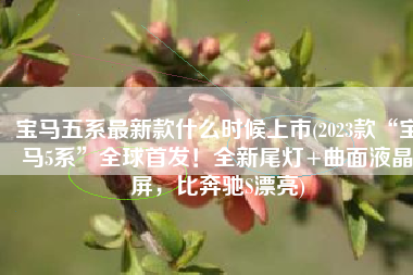 宝马五系最新款什么时候上市(2023款“宝马5系”全球首发！全新尾灯+曲面液晶屏，比奔驰S漂亮)