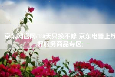 京东网官网(180天只换不修 京东电器上线好服务商品专区)