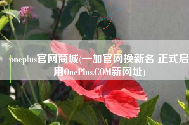oneplus官网商城(一加官网换新名 正式启用OnePlus.COM新网址)