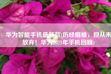 华为智能手机最新款(历经磨难，但从未放弃！华为2021年手机回顾)