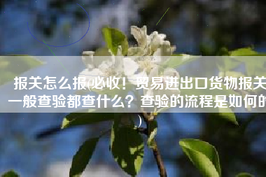 报关怎么报(必收！贸易进出口货物报关一般查验都查什么？查验的流程是如何的)