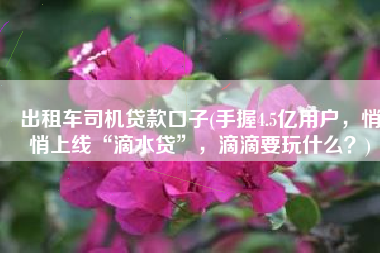 出租车司机贷款口子(手握4.5亿用户，悄悄上线“滴水贷”，滴滴要玩什么？)