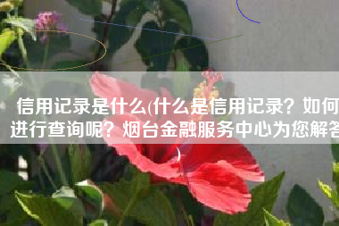 信用记录是什么(什么是信用记录？如何进行查询呢？烟台金融服务中心为您解答)