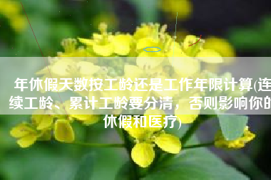 年休假天数按工龄还是工作年限计算(连续工龄、累计工龄要分清，否则影响你的休假和医疗)