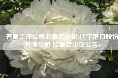 有限责任公司监事会决议(辽宁港口股份有限公司 监事会决议公告)