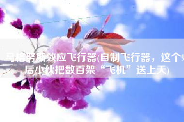 马格努斯效应飞行器(自制飞行器，这个95后小伙把数百架“飞机”送上天)