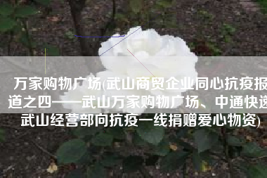 万家购物广场(武山商贸企业同心抗疫报道之四——武山万家购物广场、中通快递武山经营部向抗疫一线捐赠爱心物资)