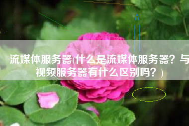 流媒体服务器(什么是流媒体服务器？与视频服务器有什么区别吗？)