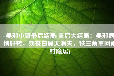 吴邪小哥最后结局(重启大结局：吴邪病情好转，刘丧白昊天消失，铁三角重回雨村隐居)