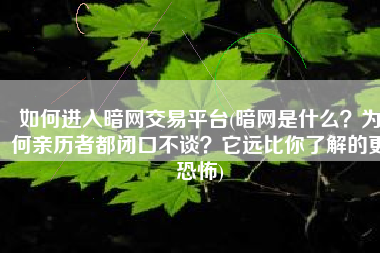 如何进入暗网交易平台(暗网是什么？为何亲历者都闭口不谈？它远比你了解的更恐怖)