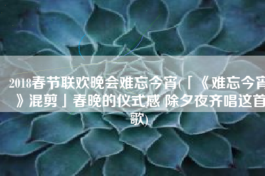 2018春节联欢晚会难忘今宵(「《难忘今宵》混剪」春晚的仪式感 除夕夜齐唱这首歌)