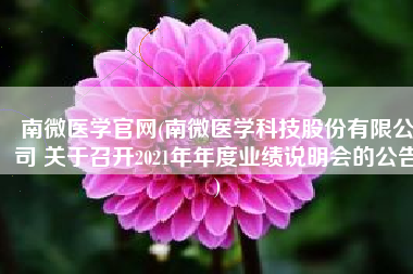 南微医学官网(南微医学科技股份有限公司 关于召开2021年年度业绩说明会的公告)