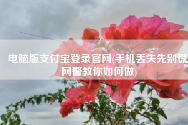 电脑版支付宝登录官网(手机丢失先别慌 网警教你如何做)