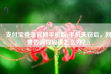 支付宝登录官网手机版(手机失窃后，网警告诉你应该怎么办？)