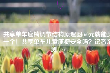 共享单车座椅调节结构原理图(60元就能买一个！共享单车儿童座椅安全吗？记者亲测→)