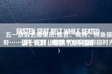 五一放假去哪里玩(露营、烧烤、捞鱼摸虾……五一长假，麒麟水乡享受田园时光)