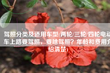 驾照分类及适用车型(两轮/三轮/四轮电动车上路要驾照，要啥驾照？年龄和费用介绍清楚)