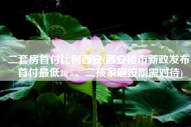 二套房首付比例西安(西安楼市新政发布！首付最低20%、二孩家庭按刚需对待)