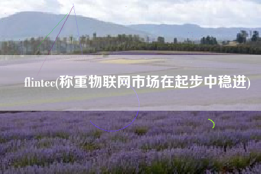 flintec(称重物联网市场在起步中稳进)