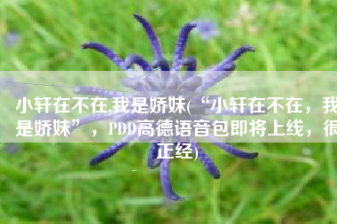 小轩在不在,我是娇妹(“小轩在不在，我是娇妹”，PDD高德语音包即将上线，很正经)