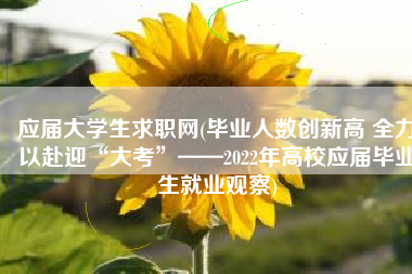 应届大学生求职网(毕业人数创新高 全力以赴迎“大考”——2022年高校应届毕业生就业观察)