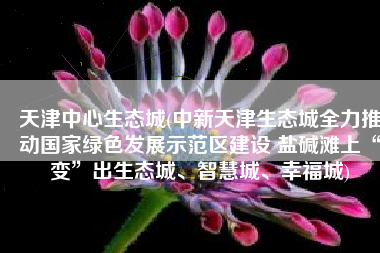 天津中心生态城(中新天津生态城全力推动国家绿色发展示范区建设 盐碱滩上“变”出生态城、智慧城、幸福城)