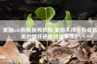 美图m8s拆机视频教程(美图关闭手机业务，美的情怀还能持续多久？)