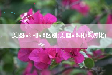 美图m8s和m8区别(美图m8s和t8s对比)