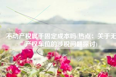 不动产税属于固定成本吗(热点：关于无产权车位的涉税问题探讨)