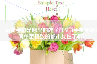 京崎手机是哪里的牌子(IUNI i1手机评测：简单更精致的都市女性手机)