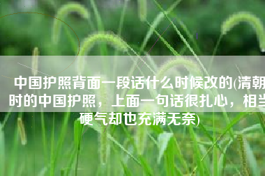 中国护照背面一段话什么时候改的(清朝时的中国护照，上面一句话很扎心，相当硬气却也充满无奈)