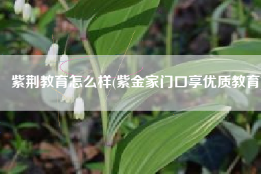 紫荆教育怎么样(紫金家门口享优质教育)