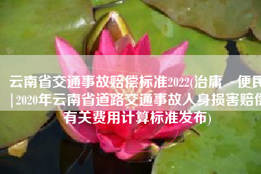 云南省交通事故赔偿标准2022(治庸•便民|2020年云南省道路交通事故人身损害赔偿有关费用计算标准发布)