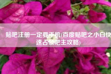 贴吧注册一定要手机(百度贴吧之小白快速占领吧主攻略)